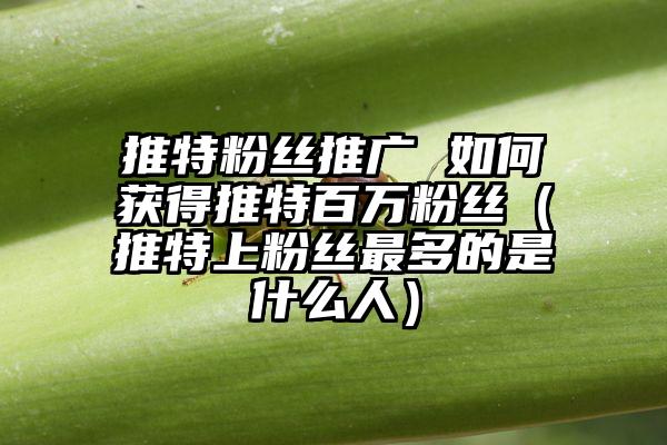推特粉丝推广 如何获得推特百万粉丝（推特上粉丝最多的是什么人）