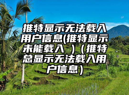 推特显示无法载入用户信息(推特显示未能载入 )（推特总显示无法载入用户信息）