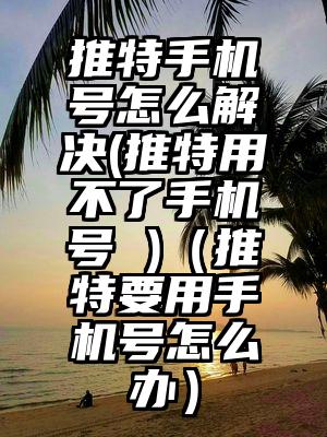 推特手机号怎么解决(推特用不了手机号 )（推特要用手机号怎么办）