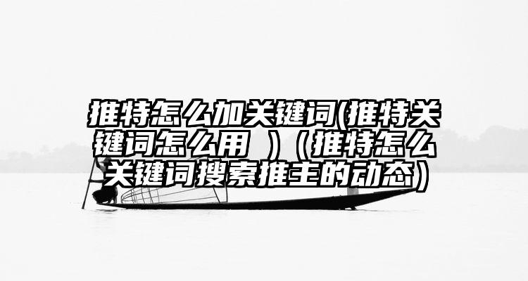 推特怎么加关键词(推特关键词怎么用 )（推特怎么关键词搜索推主的动态）