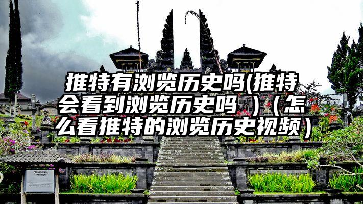 推特有浏览历史吗(推特会看到浏览历史吗 )（怎么看推特的浏览历史视频）