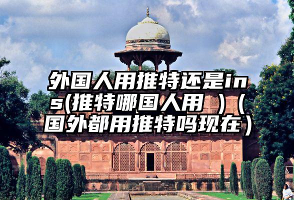 外国人用推特还是ins(推特哪国人用 )（国外都用推特吗现在）