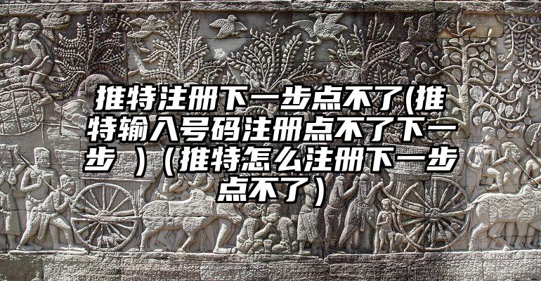 推特注册下一步点不了(推特输入号码注册点不了下一步 )（推特怎么注册下一步点不了）