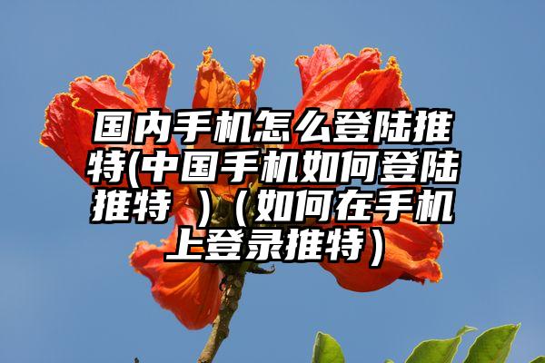 国内手机怎么登陆推特(中国手机如何登陆推特 )（如何在手机上登录推特）