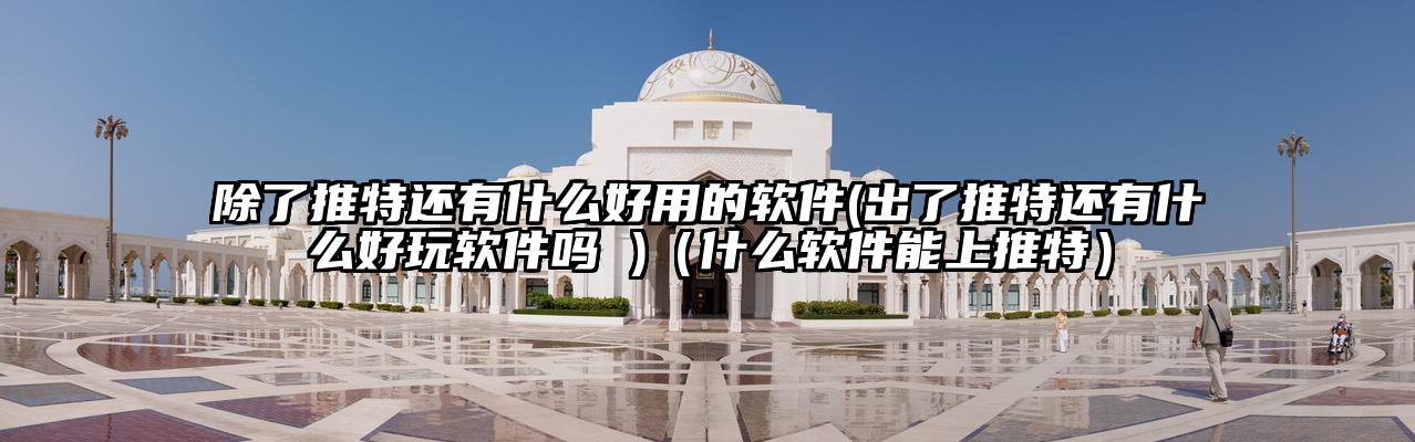 除了推特还有什么好用的软件(出了推特还有什么好玩软件吗 )（什么软件能上推特）