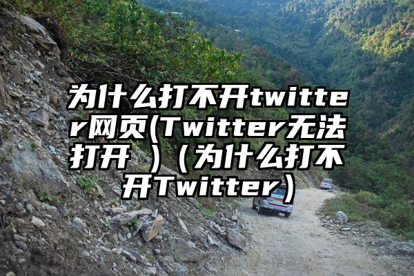 为什么打不开twitter网页(Twitter无法打开 )（为什么打不开Twitter）