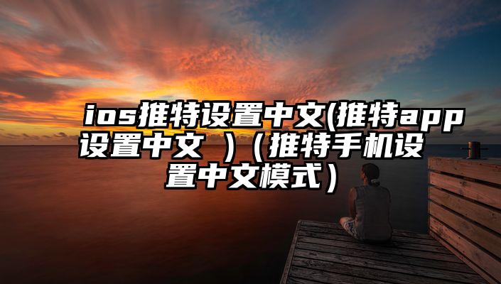 ios推特设置中文(推特app设置中文 )（推特手机设置中文模式）