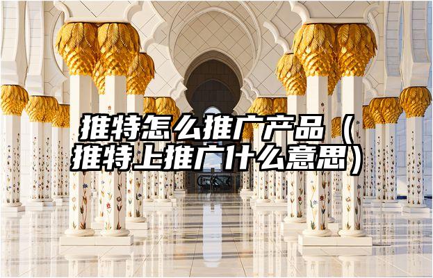 推特怎么推广产品（推特上推广什么意思）