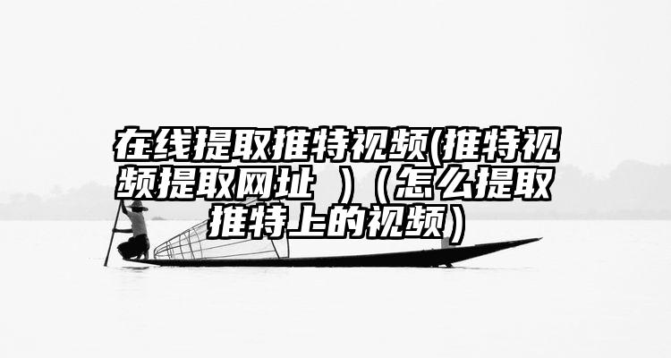 在线提取推特视频(推特视频提取网址 )（怎么提取推特上的视频）