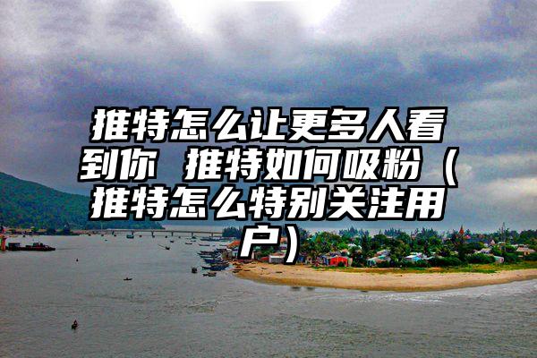 推特怎么让更多人看到你 推特如何吸粉（推特怎么特别关注用户）