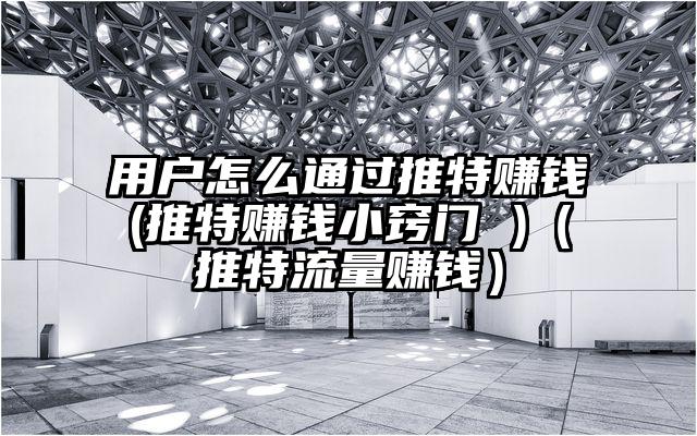 用户怎么通过推特赚钱(推特赚钱小窍门 )（推特流量赚钱）