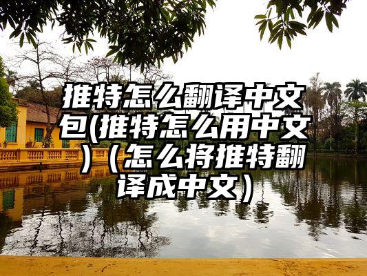 推特怎么翻译中文包(推特怎么用中文 )（怎么将推特翻译成中文）
