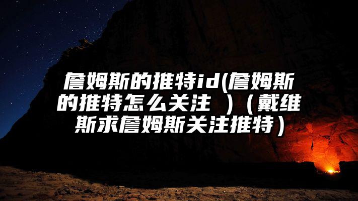詹姆斯的推特id(詹姆斯的推特怎么关注 )（戴维斯求詹姆斯关注推特）