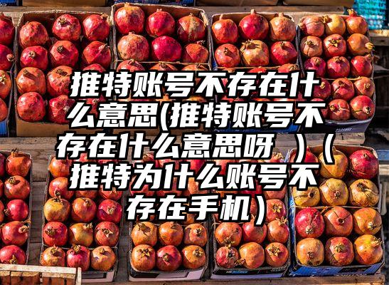 推特账号不存在什么意思(推特账号不存在什么意思呀 )（推特为什么账号不存在手机）