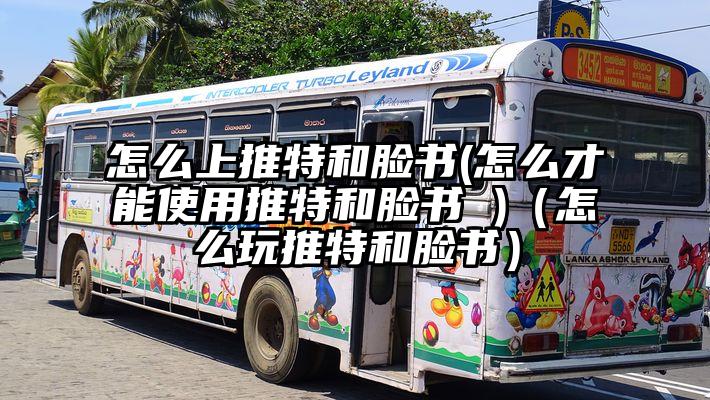 怎么上推特和脸书(怎么才能使用推特和脸书 )（怎么玩推特和脸书）