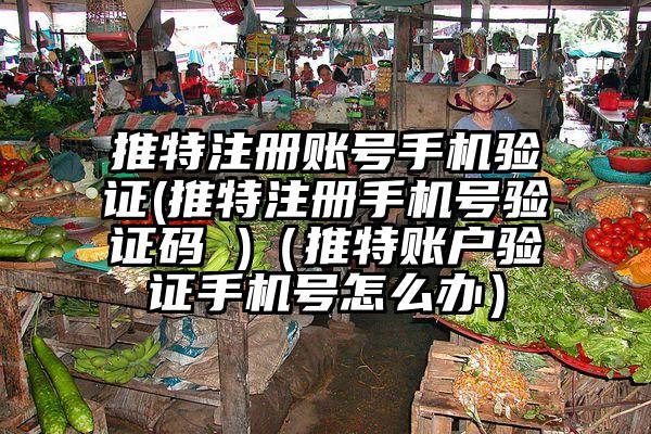 推特注册账号手机验证(推特注册手机号验证码 )（推特账户验证手机号怎么办）