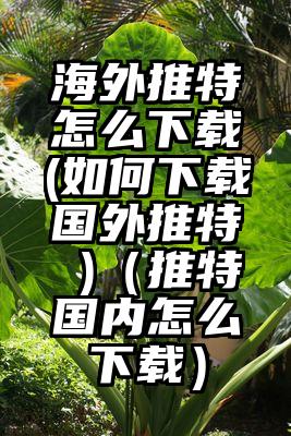 海外推特怎么下载(如何下载国外推特 )（推特国内怎么下载）