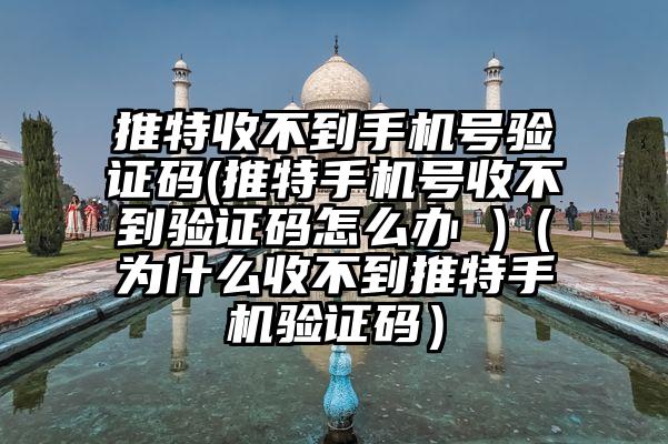 推特收不到手机号验证码(推特手机号收不到验证码怎么办 )（为什么收不到推特手机验证码）