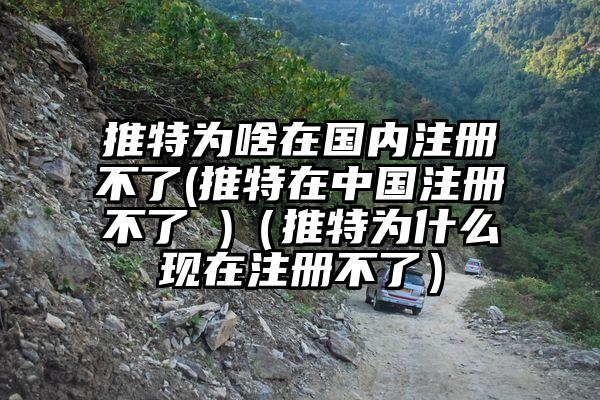 推特为啥在国内注册不了(推特在中国注册不了 )(推特为什么现在注册不了)