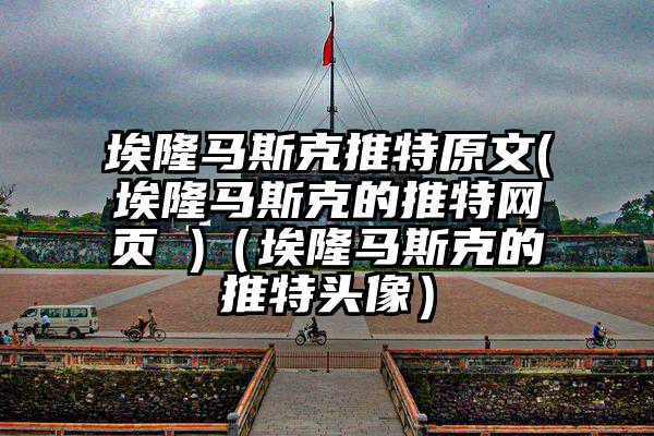 埃隆马斯克推特原文(埃隆马斯克的推特网页 )（埃隆马斯克的推特头像）
