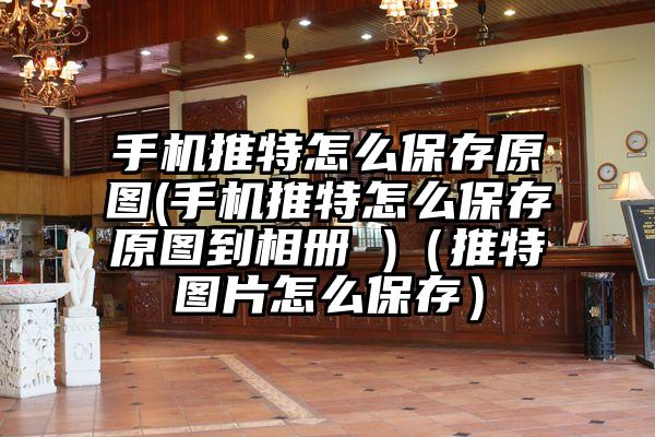 手机推特怎么保存原图(手机推特怎么保存原图到相册 )(推特图片怎么保存)