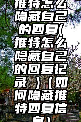 推特怎么隐藏自己的回复(推特怎么隐藏自己的回复记录 )（如何隐藏推特回复信息）