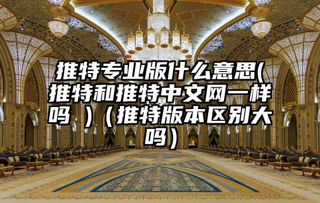 推特专业版什么意思(推特和推特中文网一样吗 )（推特版本区别大吗）