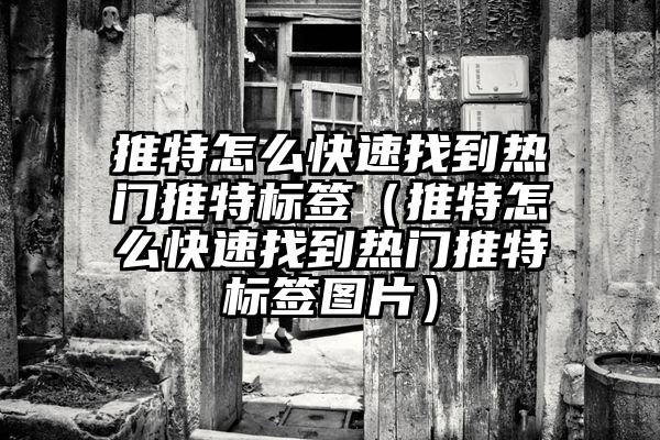 推特怎么快速找到热门推特标签（推特怎么快速找到热门推特标签图片）
