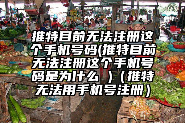 推特目前无法注册这个手机号码(推特目前无法注册这个手机号码是为什么 )（推特无法用手机号注册）