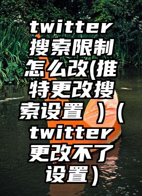 twitter搜索限制怎么改(推特更改搜索设置 )（twitter更改不了设置）