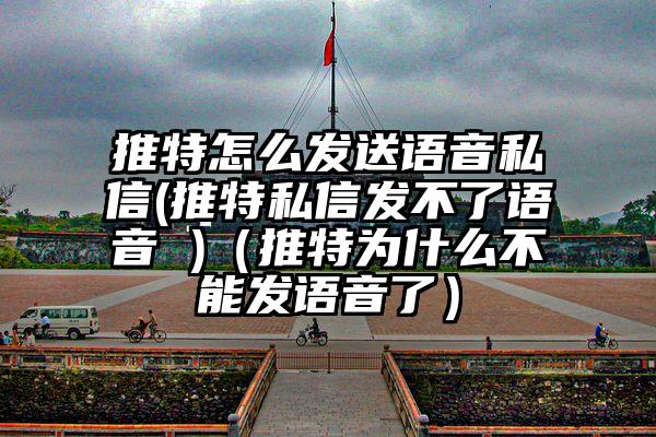 推特怎么发送语音私信(推特私信发不了语音 )（推特为什么不能发语音了）