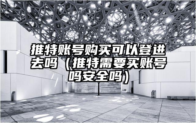 推特账号购买可以登进去吗（推特需要买账号吗安全吗）