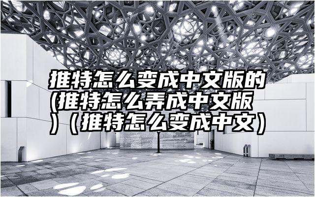 推特怎么变成中文版的(推特怎么弄成中文版 )（推特怎么变成中文）