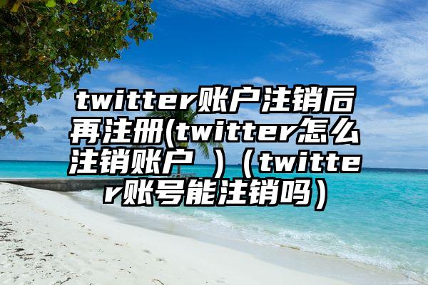 twitter账户注销后再注册(twitter怎么注销账户 )（twitter账号能注销吗）