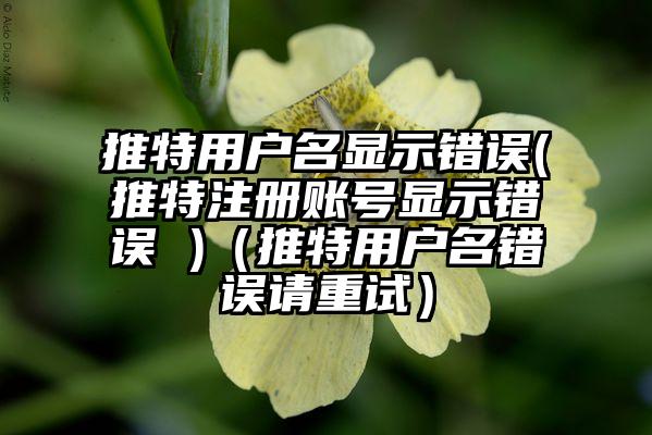 推特用户名显示错误(推特注册账号显示错误 )（推特用户名错误请重试）