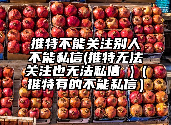 推特不能关注别人不能私信(推特无法关注也无法私信 )（推特有的不能私信）