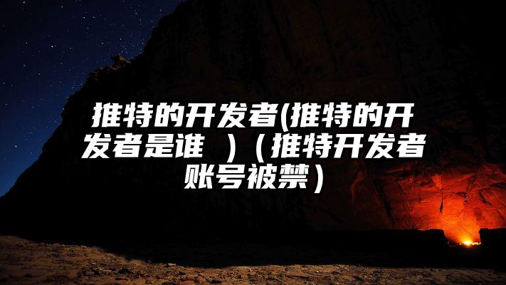 推特的开发者(推特的开发者是谁 )（推特开发者账号被禁）