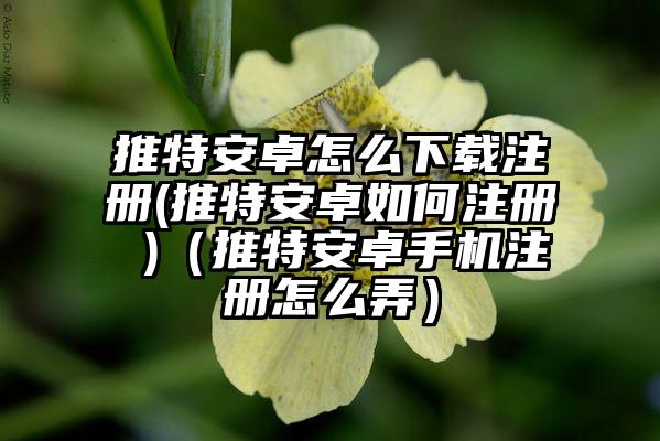 推特安卓怎么下载注册(推特安卓如何注册 )（推特安卓手机注册怎么弄）