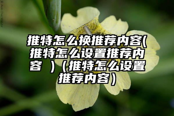 推特怎么换推荐内容(推特怎么设置推荐内容 )（推特怎么设置推荐内容）