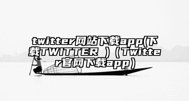 twitter网站下载app(下载TWITTER )（Twitter官网下载app）