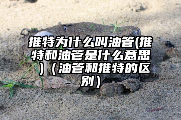 推特为什么叫油管(推特和油管是什么意思 )（油管和推特的区别）