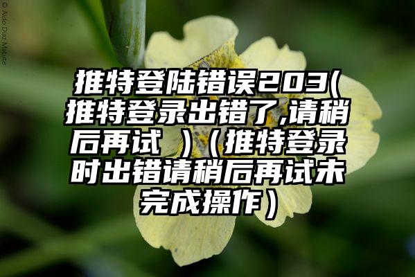 推特登陆错误203(推特登录出错了,请稍后再试 )（推特登录时出错请稍后再试未完成操作）