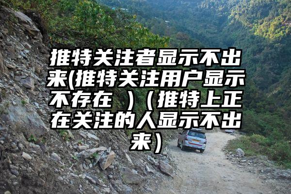 推特关注者显示不出来(推特关注用户显示不存在 )(推特上正在关注的人显示不出来)