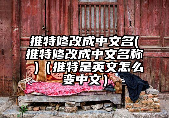推特修改成中文名(推特修改成中文名称 )（推特是英文怎么变中文）