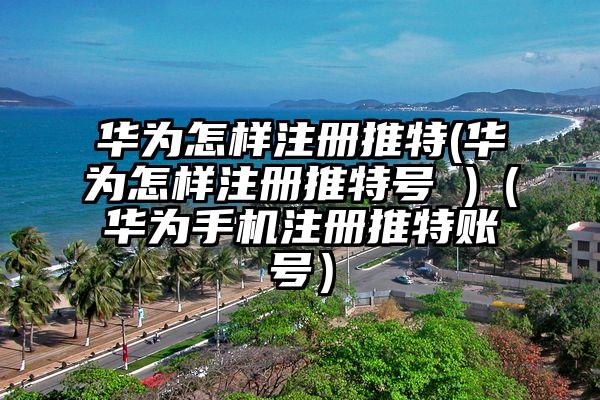 华为怎样注册推特(华为怎样注册推特号 )（华为手机注册推特账号）