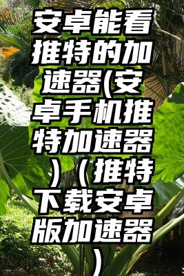 安卓能看推特的加速器(安卓手机推特加速器 )（推特下载安卓版加速器）