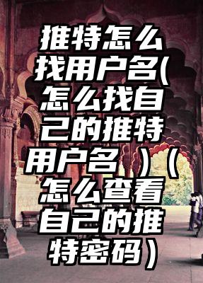 推特怎么找用户名(怎么找自己的推特用户名 )（怎么查看自己的推特密码）