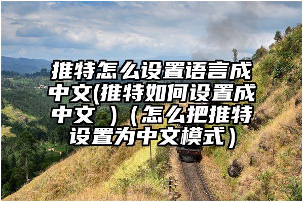 推特怎么设置语言成中文(推特如何设置成中文 )（怎么把推特设置为中文模式）