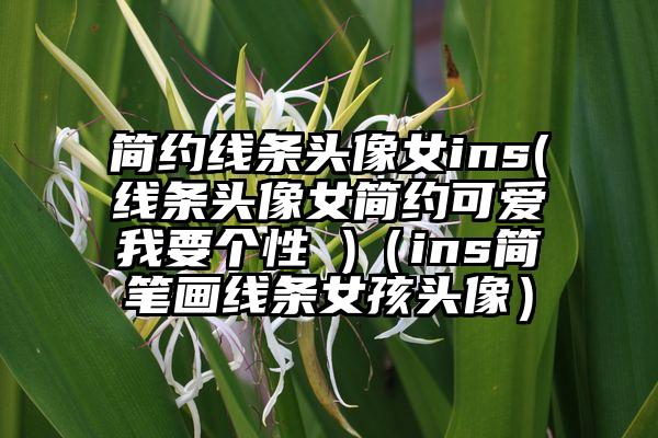 简约线条头像女ins(线条头像女简约可爱我要个性 )（ins简笔画线条女孩头像）