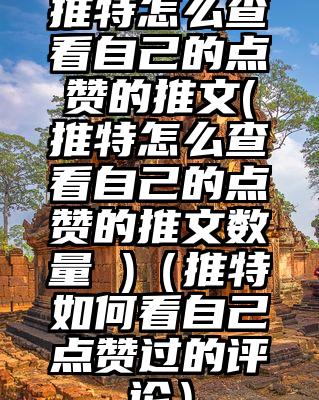 推特怎么查看自己的点赞的推文(推特怎么查看自己的点赞的推文数量 )(推特如何看自己点赞过的评论)